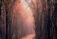 3377体育：比赛集锦：西班牙3-3荷兰（点球5-4，两回合总比分10-9）.