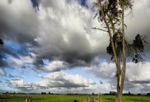 3377体育：[中超]第2轮：上海申花VS北京国安.