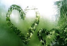 巴伯联决赛赛后上演全武行，球员互相推搡+惊现德甲logo式飞踹.