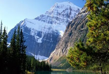 3377体育：[图]马龙王楚钦搭档男双 北京男队全运会资格赛开门红.