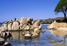 两届亚冬会，三代“尔滨”人新华每日电讯.